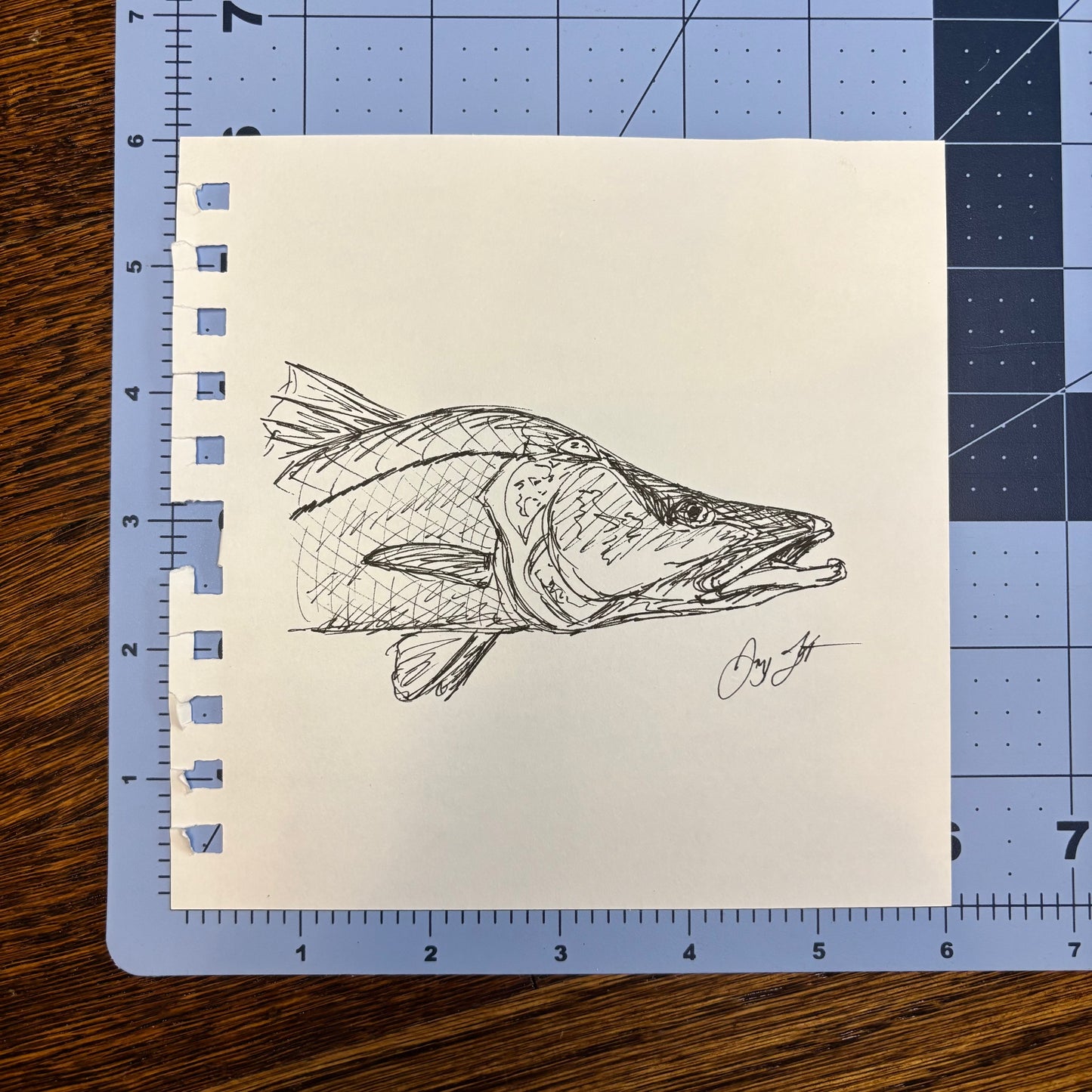 Studio Sale Snook 2 Original