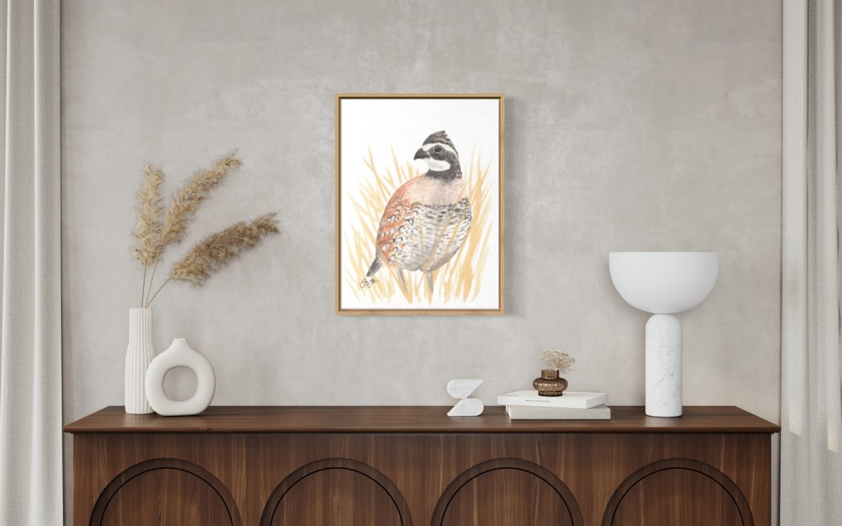 Bobwhite Quail Canvas Print - Jaybo Art