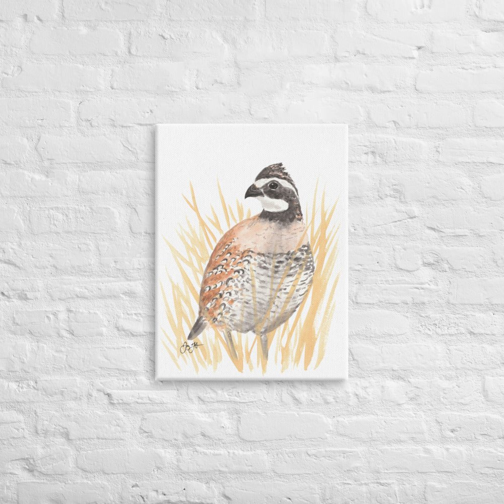 Bobwhite Quail Canvas Print - Jaybo Art