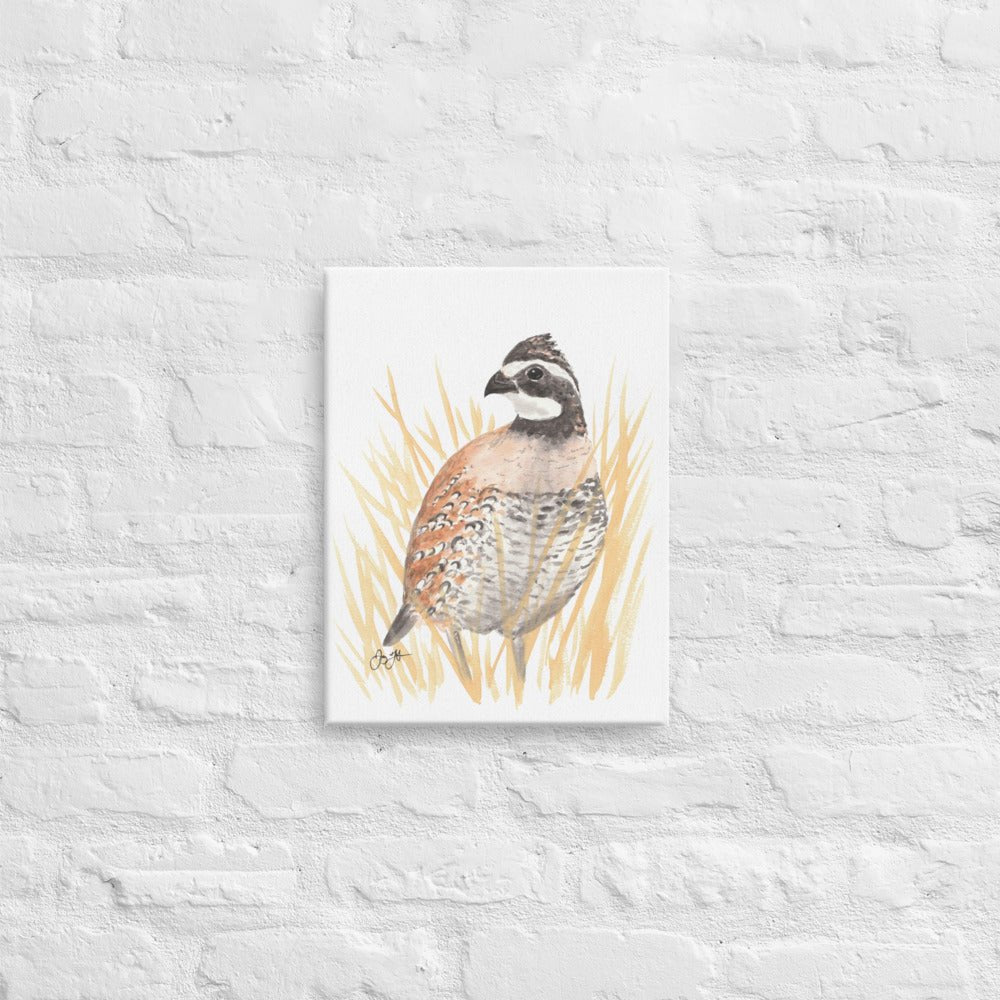 Bobwhite Quail Canvas Print - Jaybo Art
