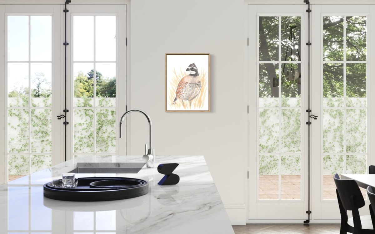 Bobwhite Quail Canvas Print - Jaybo Art