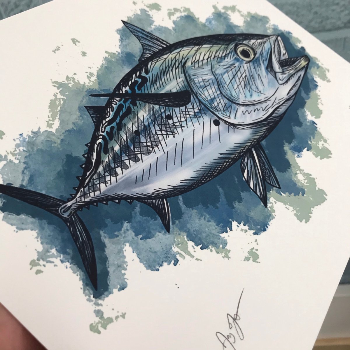 False Albocore Print - Jaybo Art