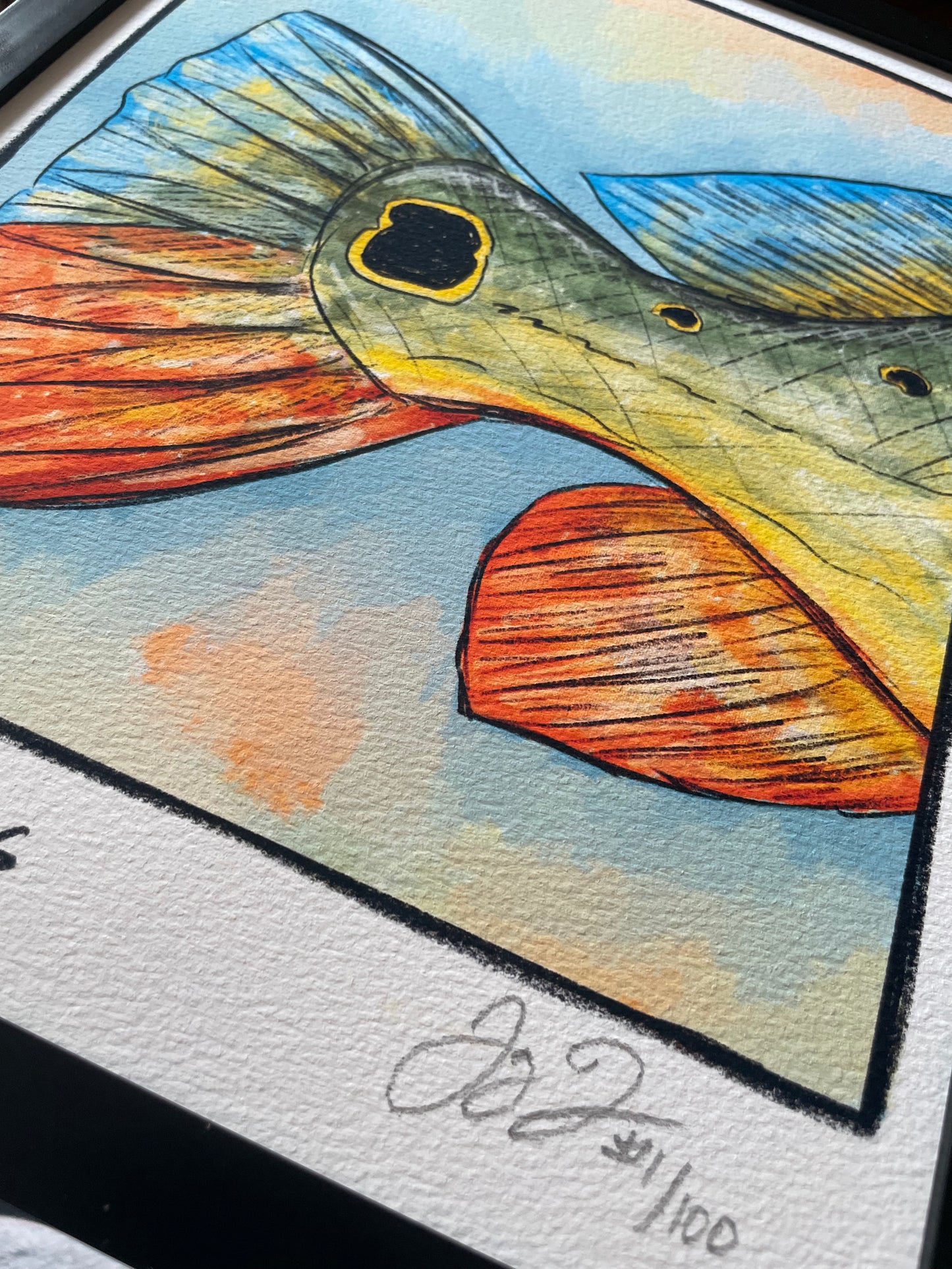 Peacock Bass Closeup Print Ed. of 100 (Frame not included)