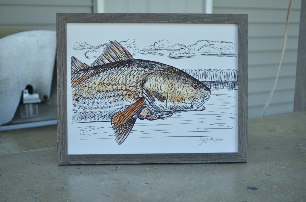 Redfish on Fly Print - Jaybo Art