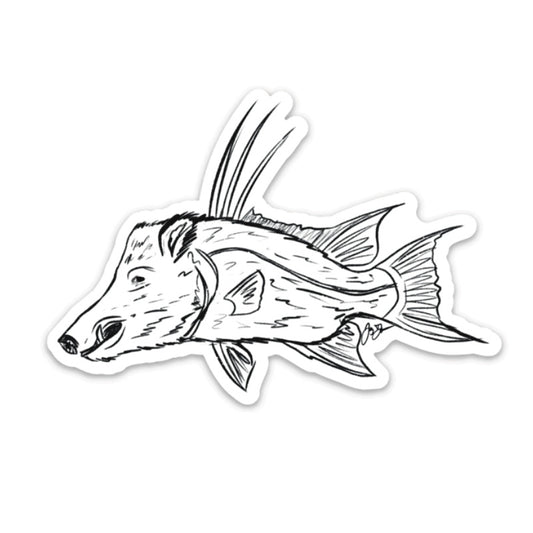 Hogfish Decal