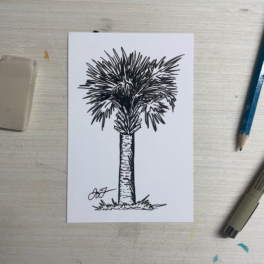 Original 4"x6" Palm Tree Sketch by Jay Talbot