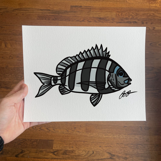 Open Edition: Simple Sheepshead Fish Art Print 8.5"x11"