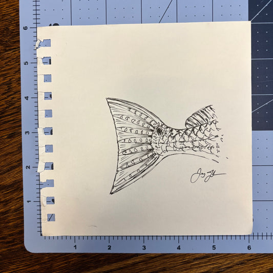 Studio Sale Redfish Tail 2 Original