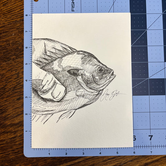 Studio Sale Bream in the Hand Original