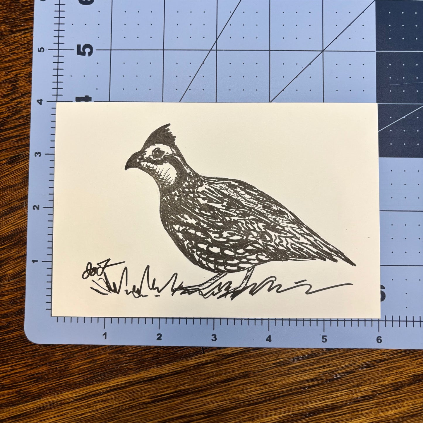 Studio Sale Quail Original