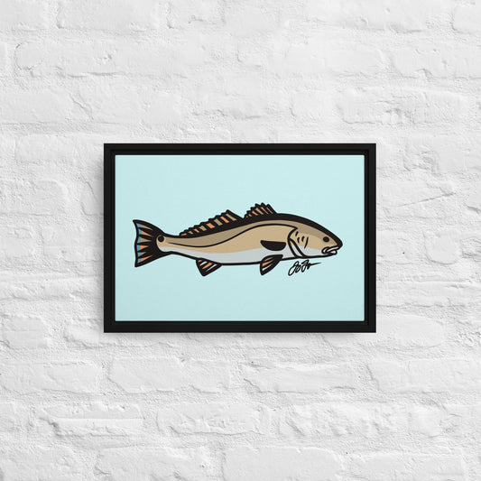 Redfish Wall Art: Framed Canvas Print