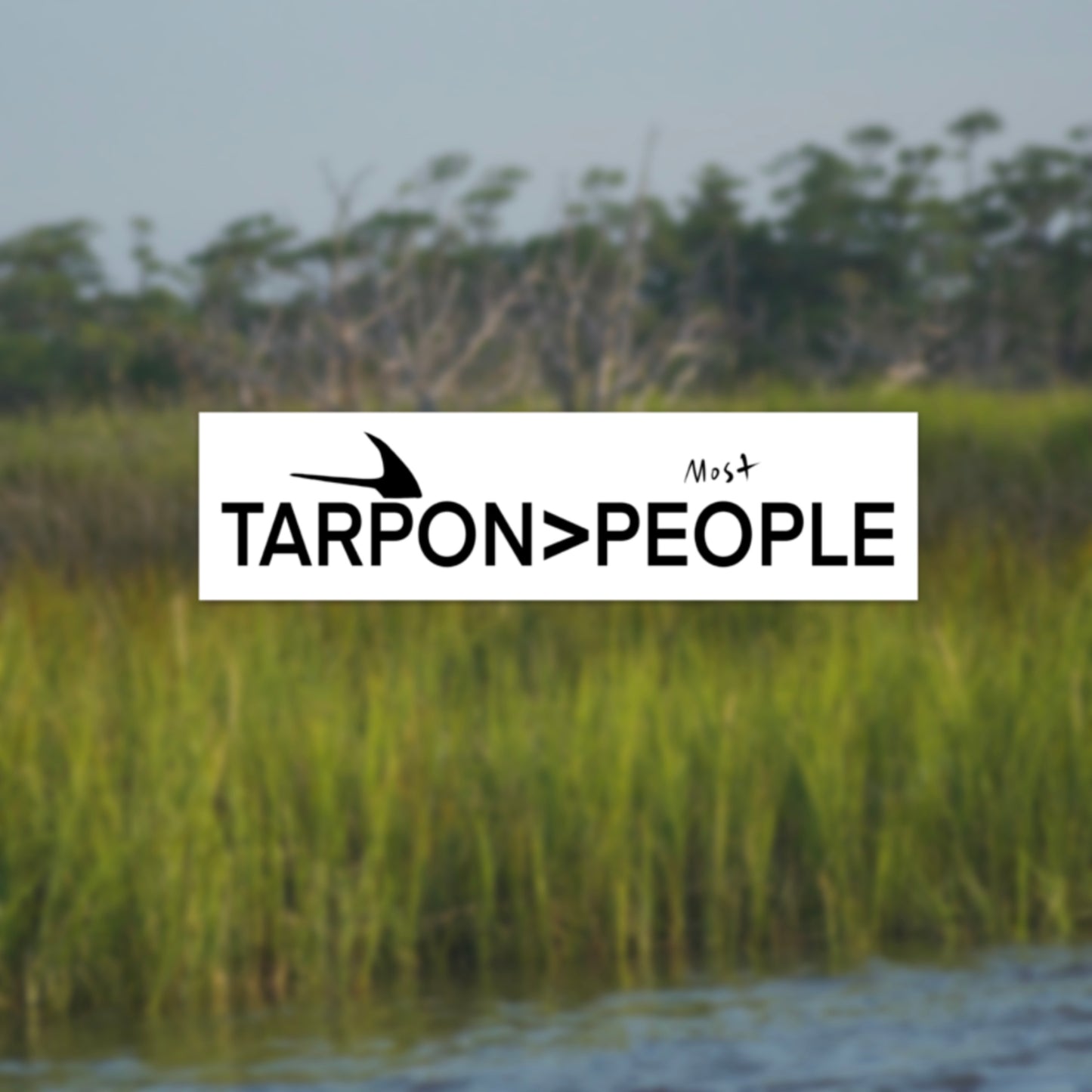 Tarpon > People Bumper Sticker Decal