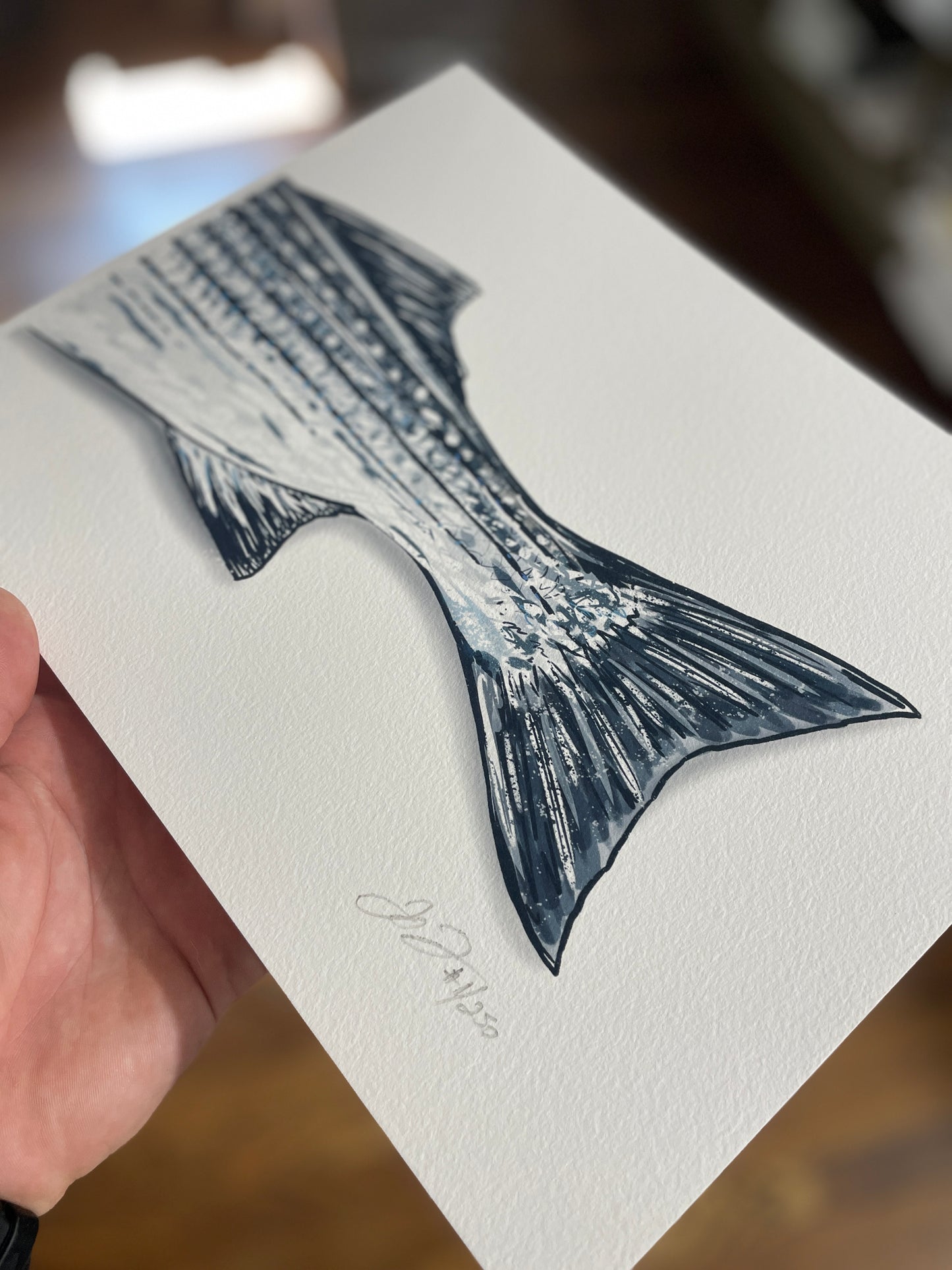 Striper Tail Print: Limited Edition