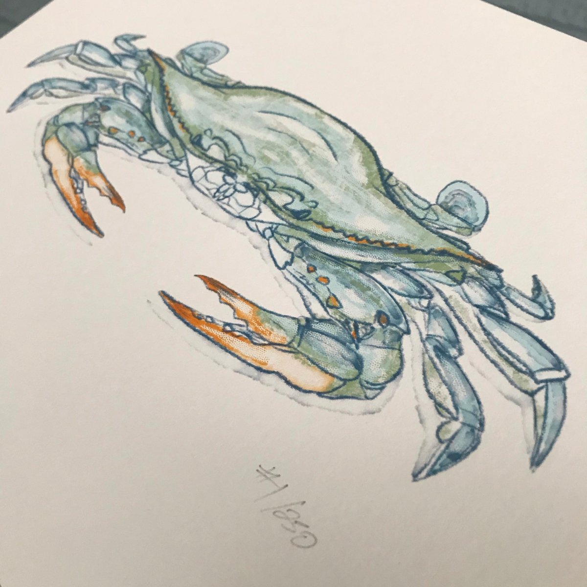 Blue Crab Print - Jaybo Art