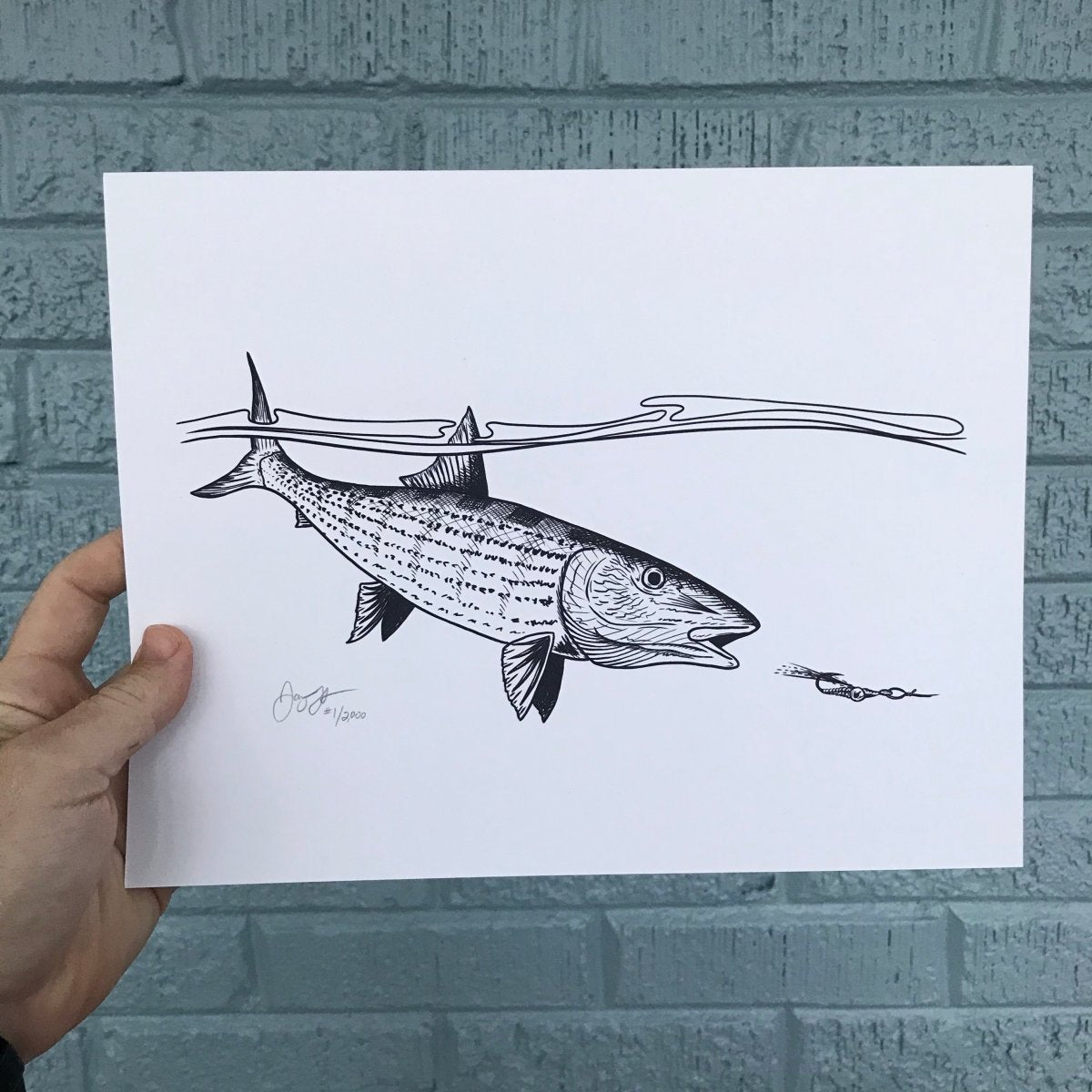 Bonefish Fly Fishing Print - Jaybo Art