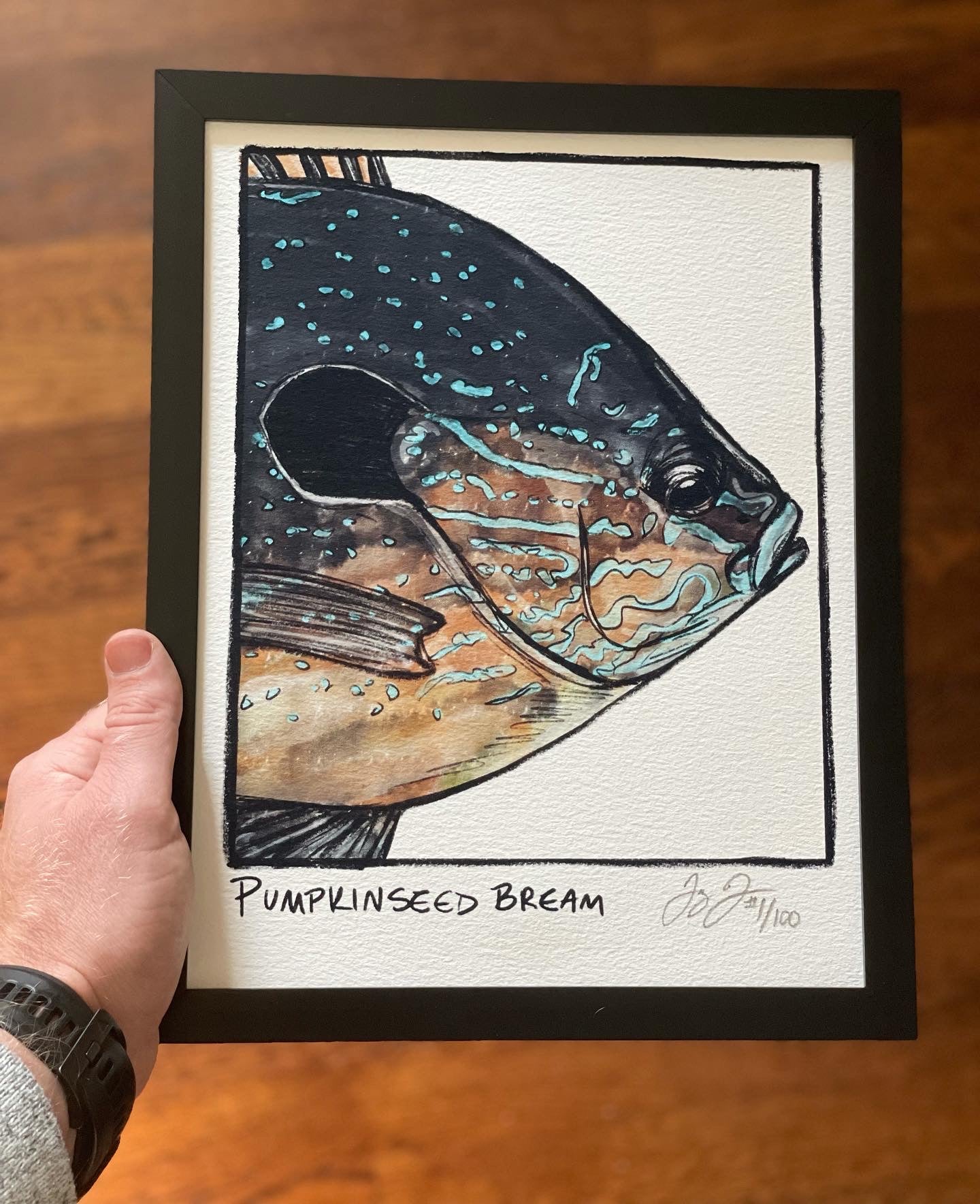 Pumpkinseed Bream Closeup Print Ed. of 100 (Frame not included)