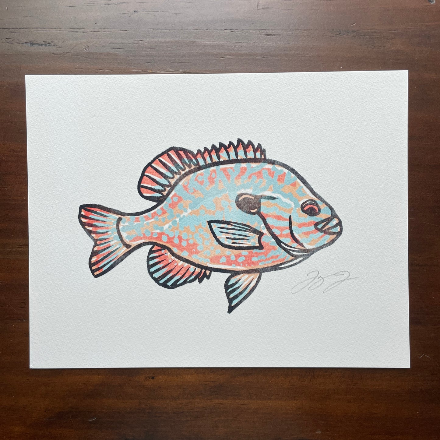 Open Edition: Vintage Pumpkinseed Print (Frame not included)