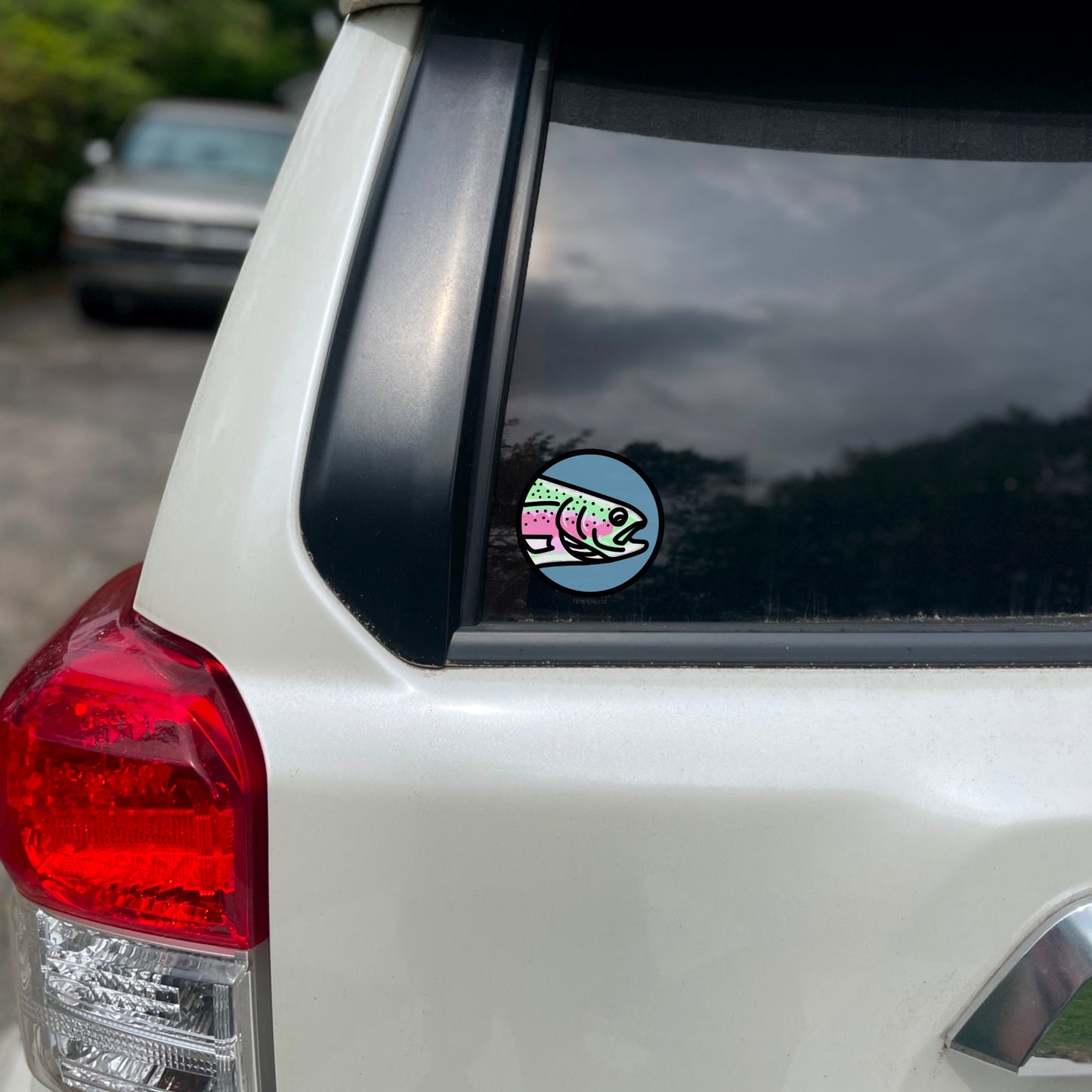 Rainbow Trout Circle Decal