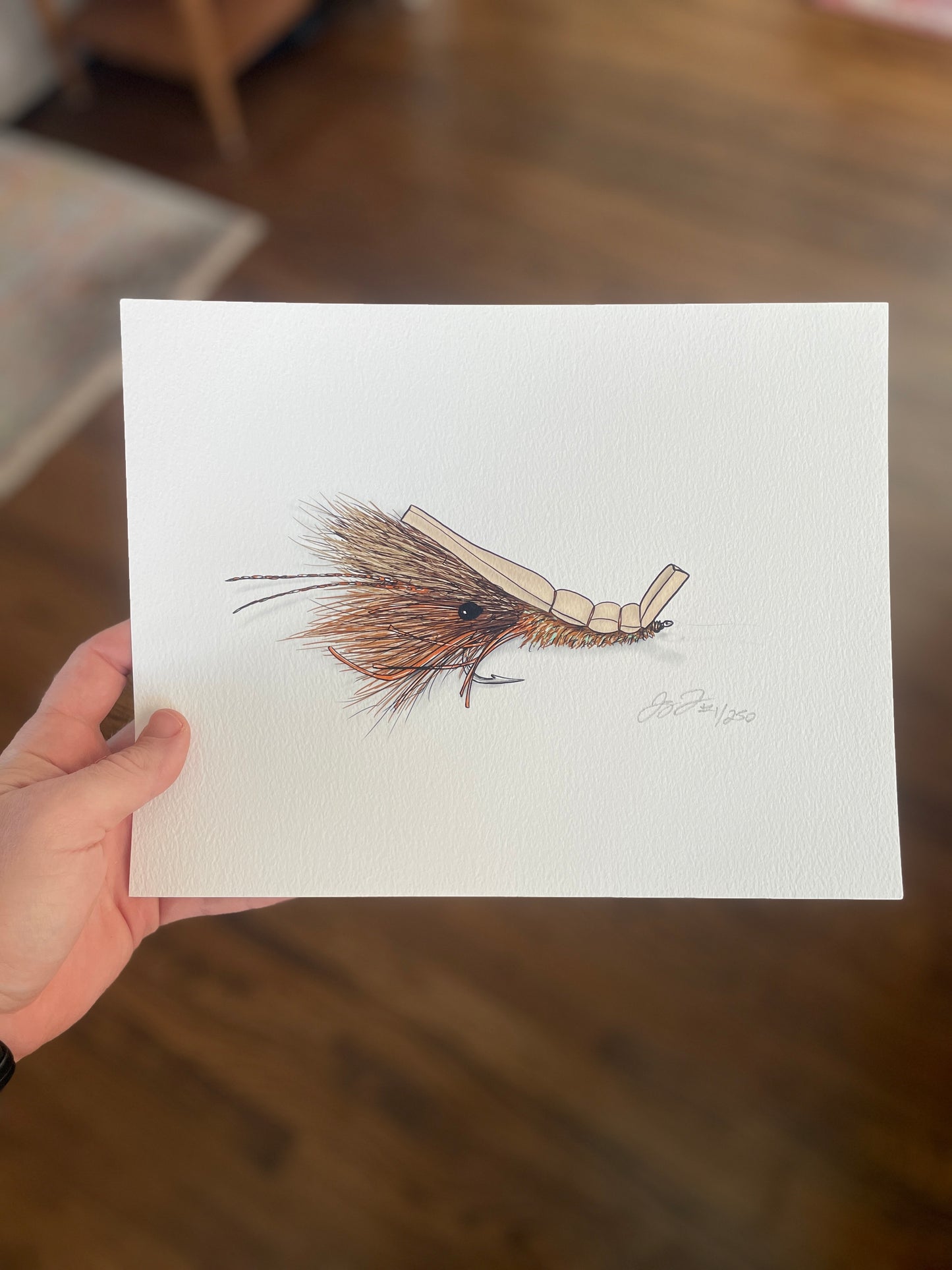 Shrimp Fly Print