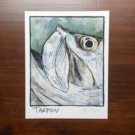 Tarpon Closeup Print Ed. of 100 (Frame not included)