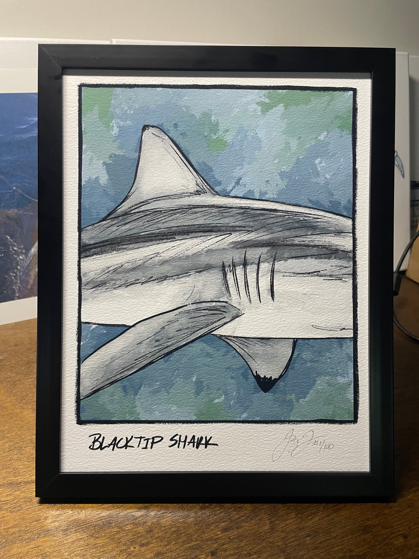 Blacktip Shark Closeup Print Ed. of 100 (Frame not included)