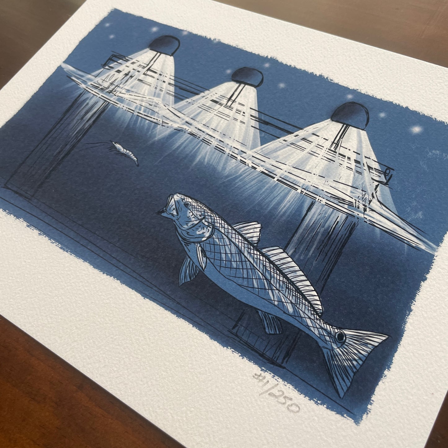 Redfish Under Dock Lights Print